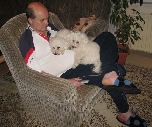 televizní canisterapie